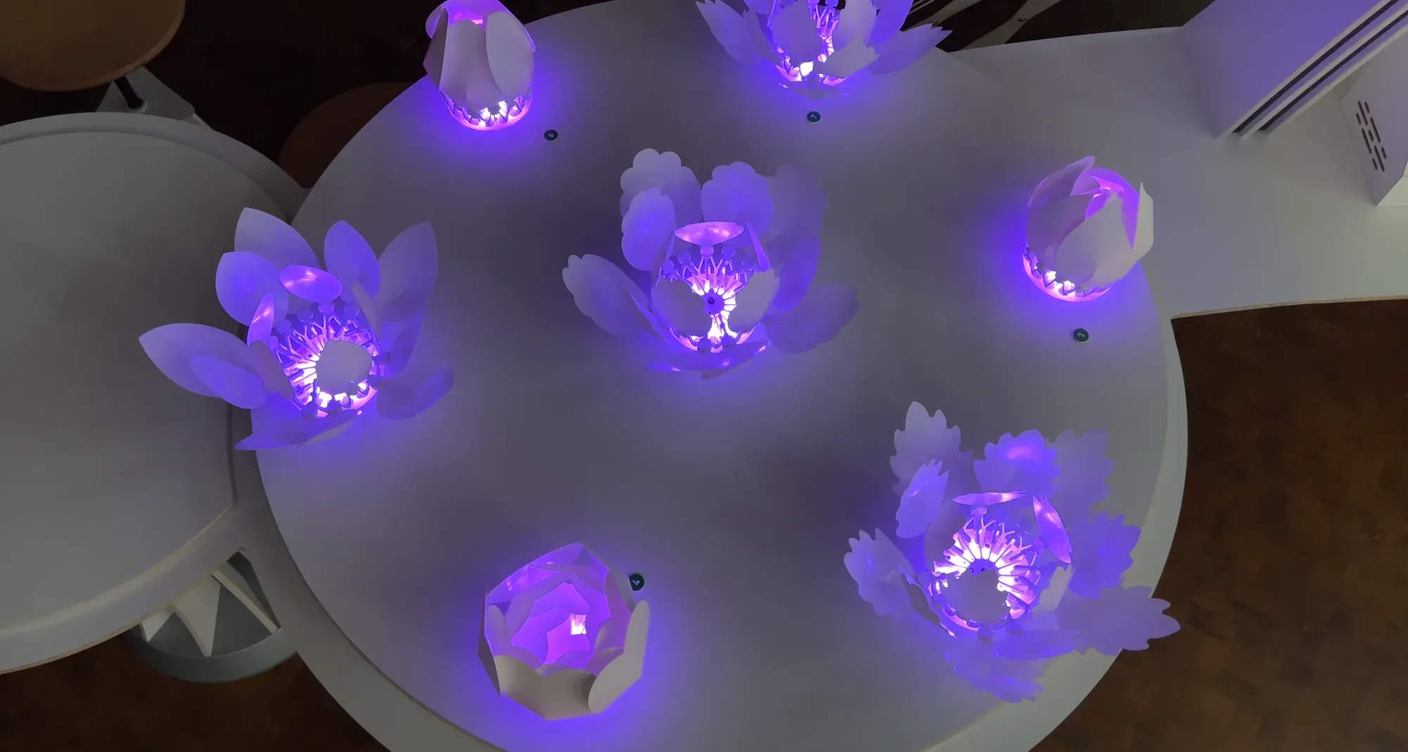 White robotic blossoms glowing purple on a round table in the darkened hall, seen from above